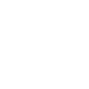 NVOCC (Non-Vessel Operating Common Carrier)